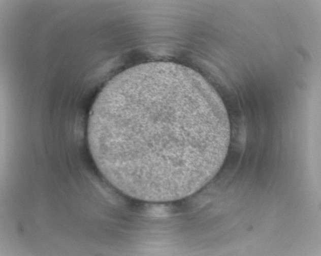 X0000115060710200911231215