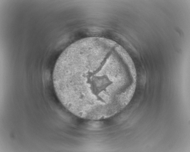 X0000115060711200911231215