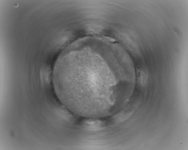 X0000115060712200911231215