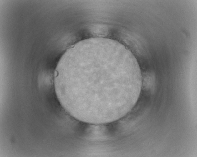 X0000115060713200911231215