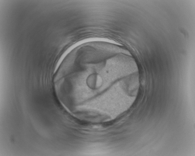 X0000115060715200911231215