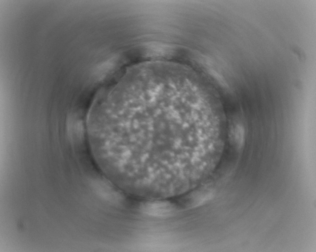 X0000115060716200911231215