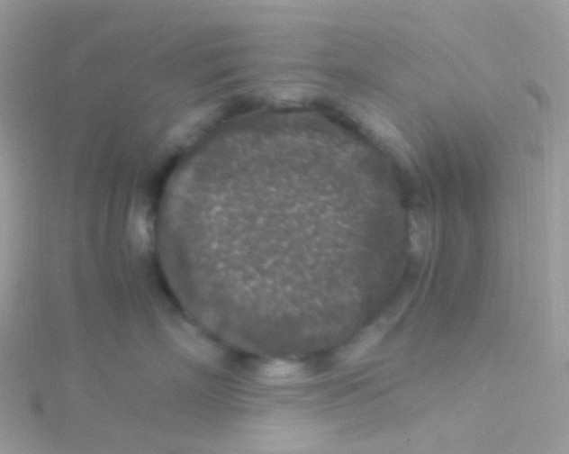 X0000115060718200911231215