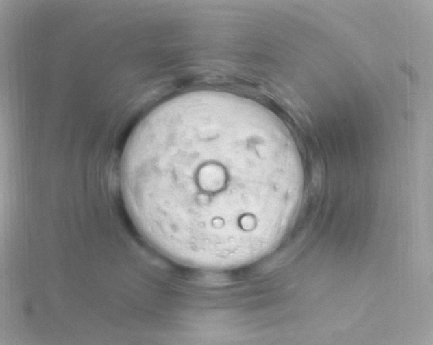 X0000115060719200911231215