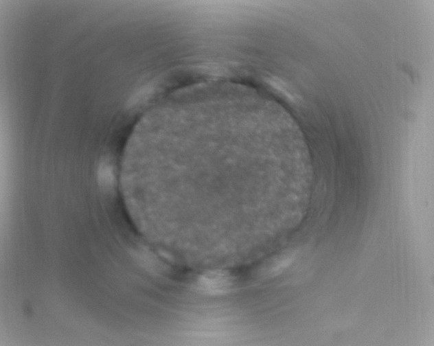 X0000115060720200911231215