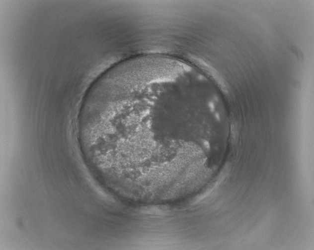 X0000115060721200911231214