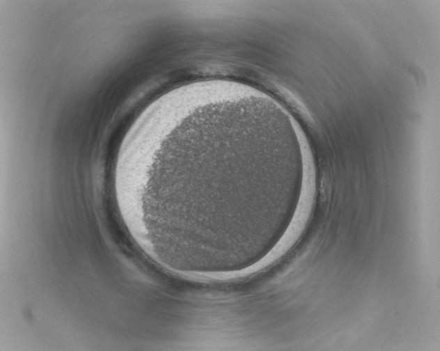 X0000115060722200911231214