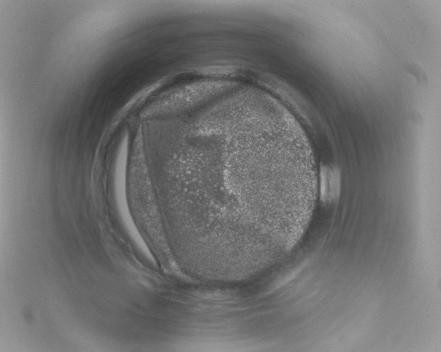 X0000115060723200911231214