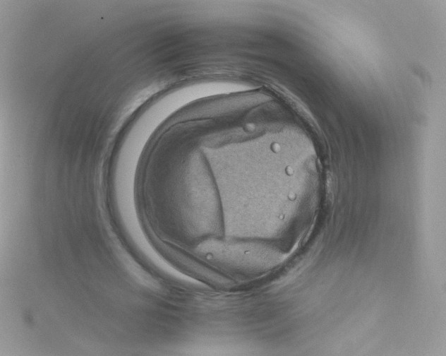 X0000115060725200911231214