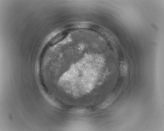 X0000115060726200911231214