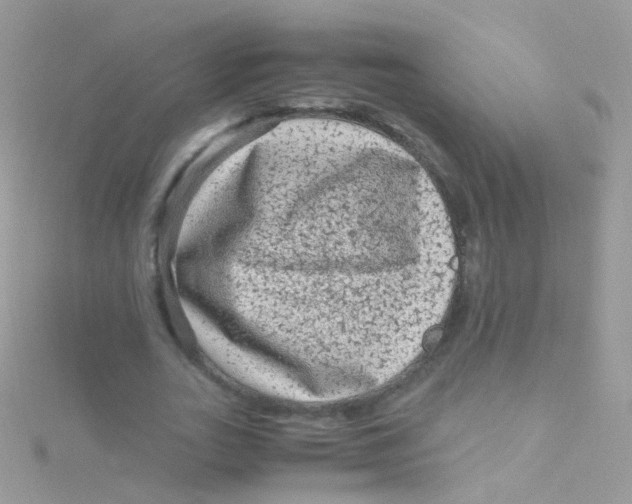 X0000115060727200911231214