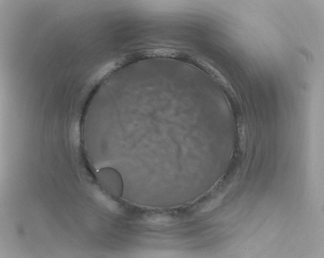 X0000115060729200911231214