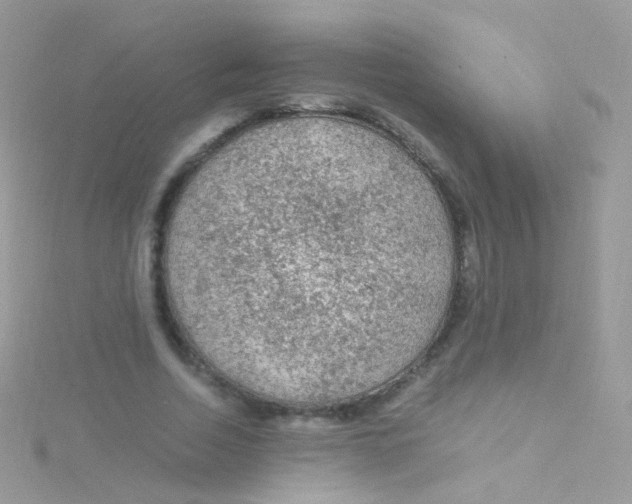 X0000115060730200911231214