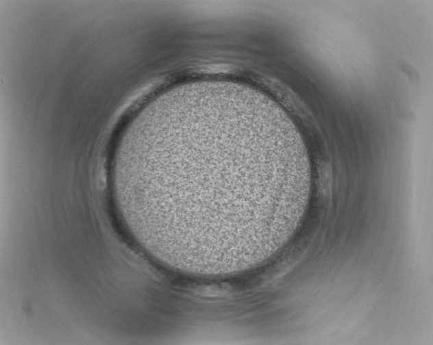 X0000115060731200911231214