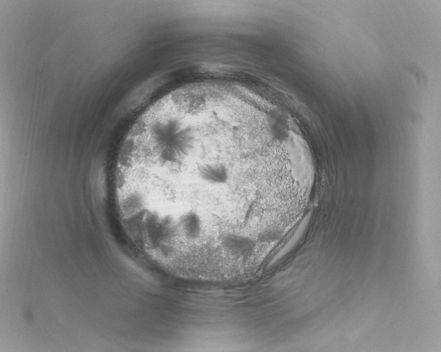 X0000115060734200911231214