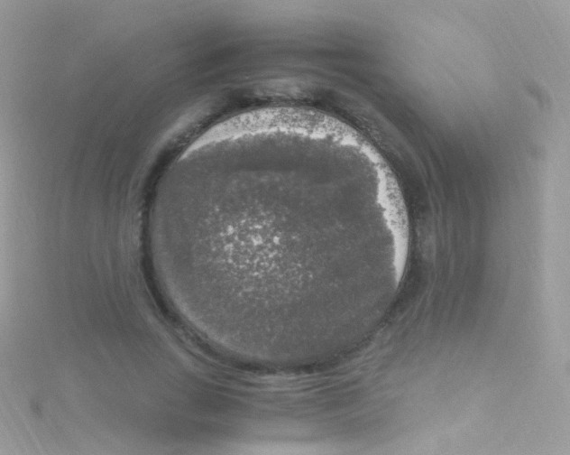 X0000115060735200911231214