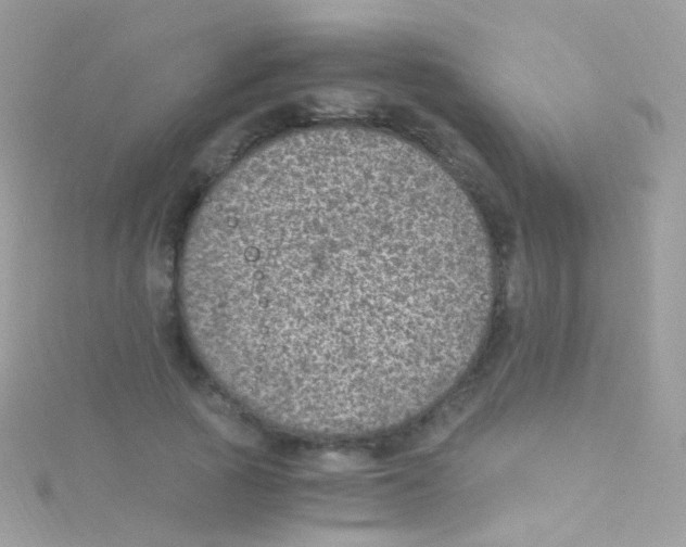 X0000115060737200911231214