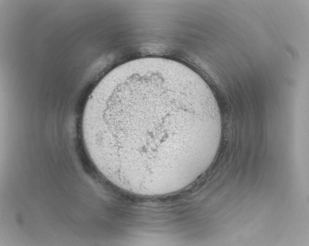 X0000115060738200911231214