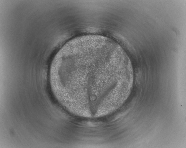 X0000115060739200911231214