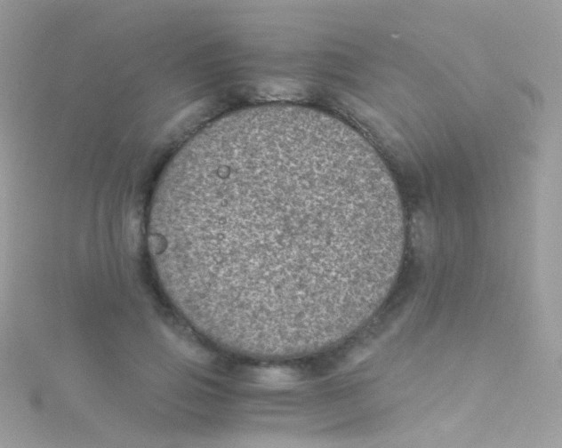 X0000115060741200911231214