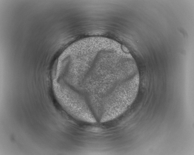 X0000115060743200911231214