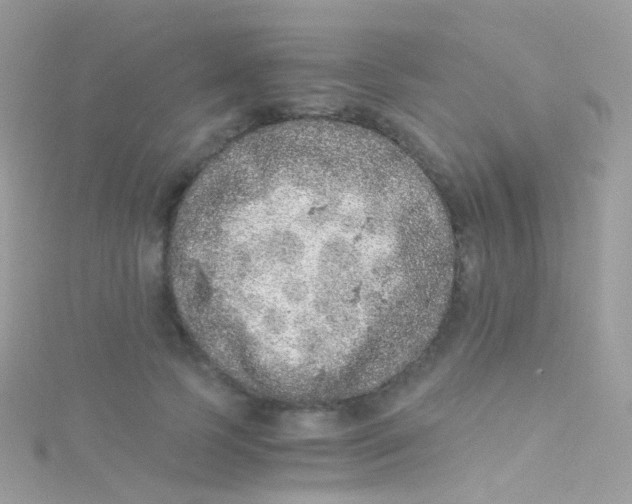 X0000115060745200911231214