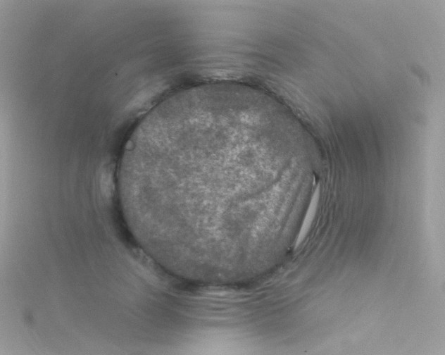 X0000115060746200911231214