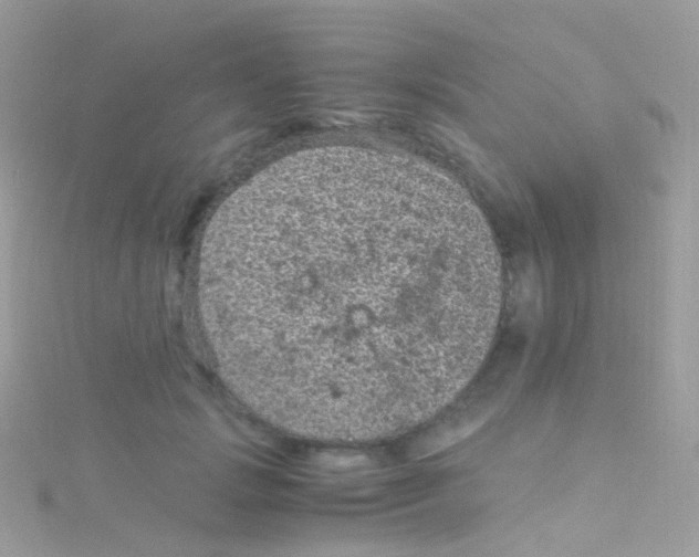 X0000115060749200911231214