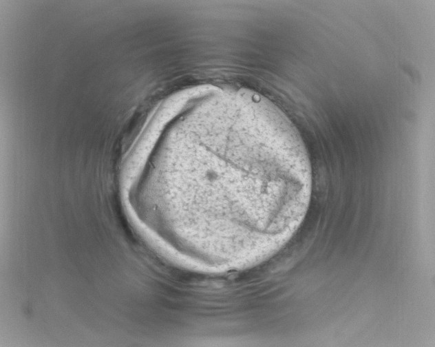 X0000115060751200911231214