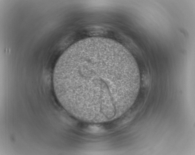 X0000115060753200911231214