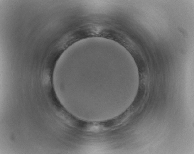 X0000115060754200911231214