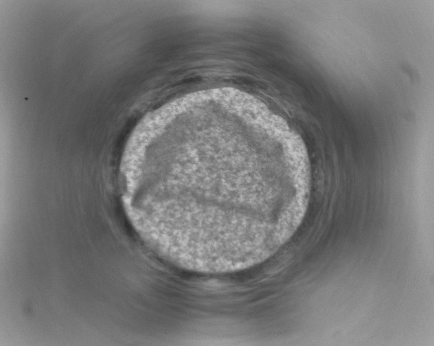 X0000115060755200911231214