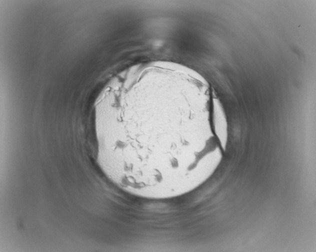 X0000115060759200911231215