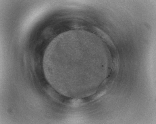 X0000115060762200911231215