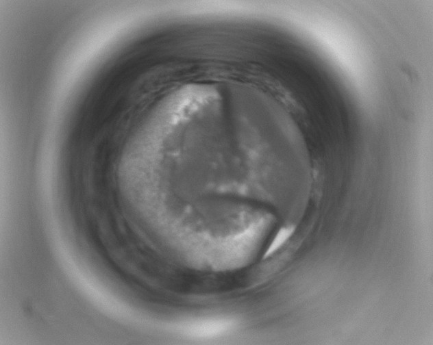 X0000115060765200911231215