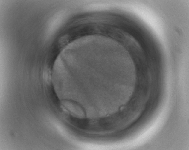 X0000115060766200911231215