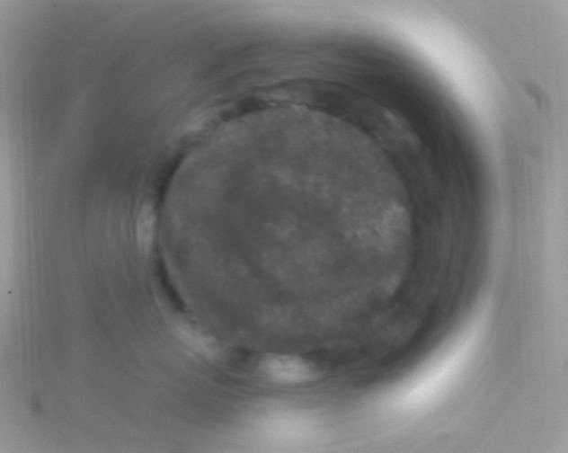 X0000115060767200911231215