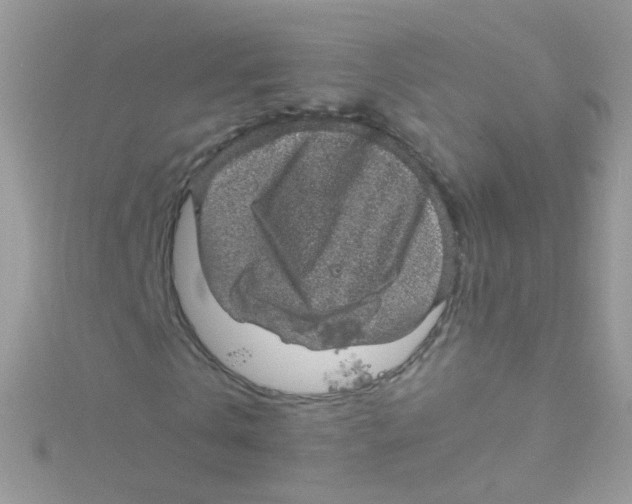 X0000115060769200911231214