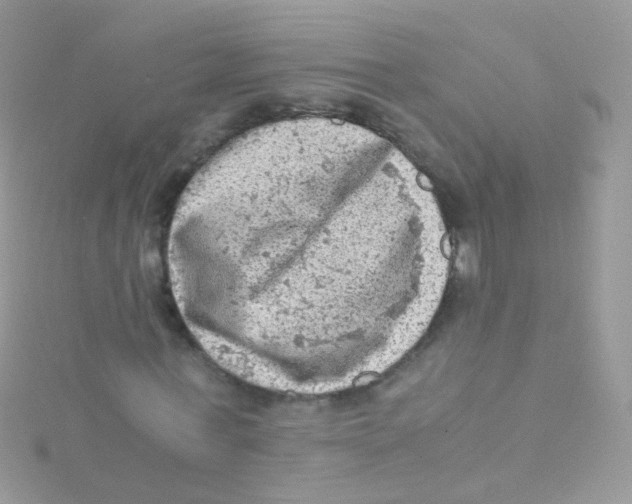 X0000115060771200911231214