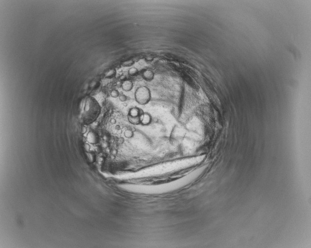 X0000115060772200911231214