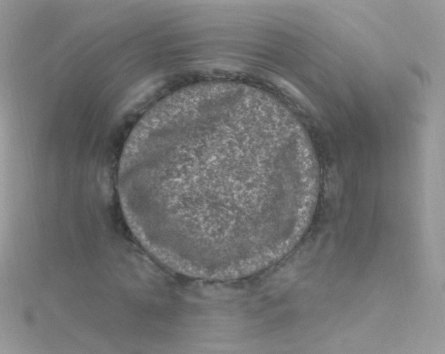 X0000115060774200911231214