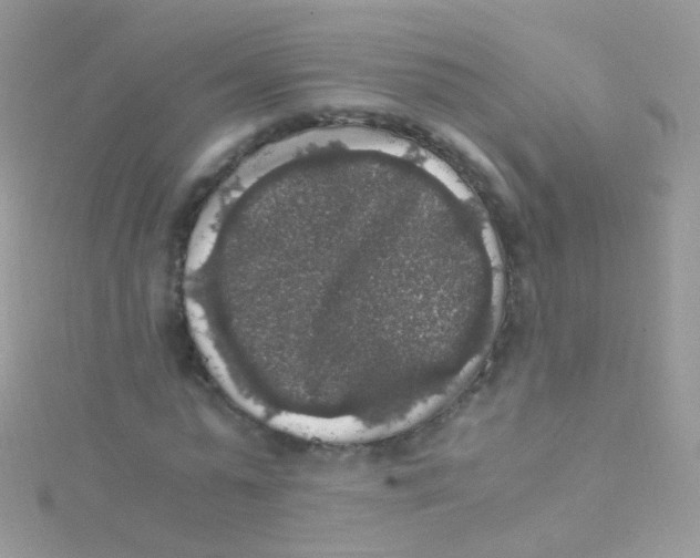 X0000115060775200911231214