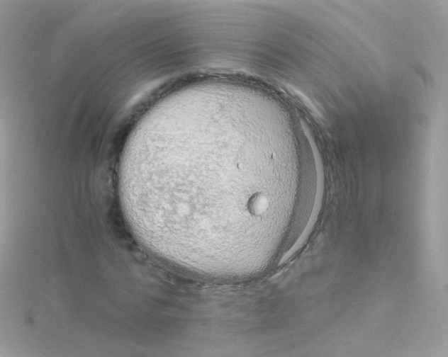 X0000115060776200911231214