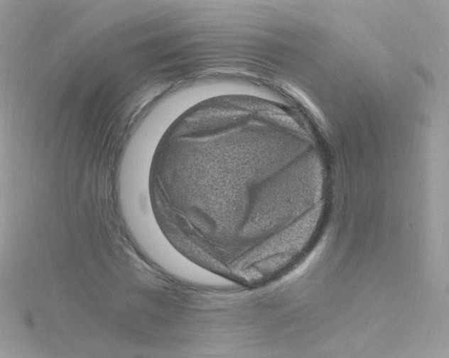 X0000115060777200911231214