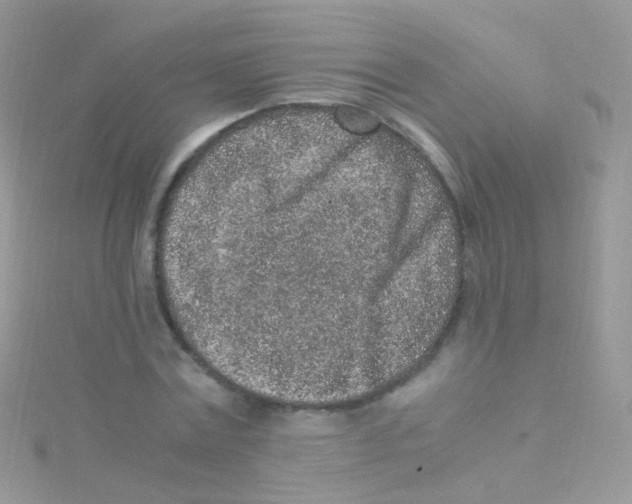 X0000115060779200911231214