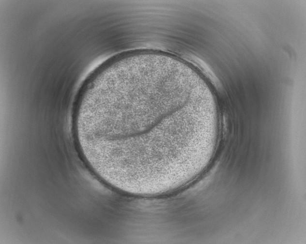 X0000115060780200911231214