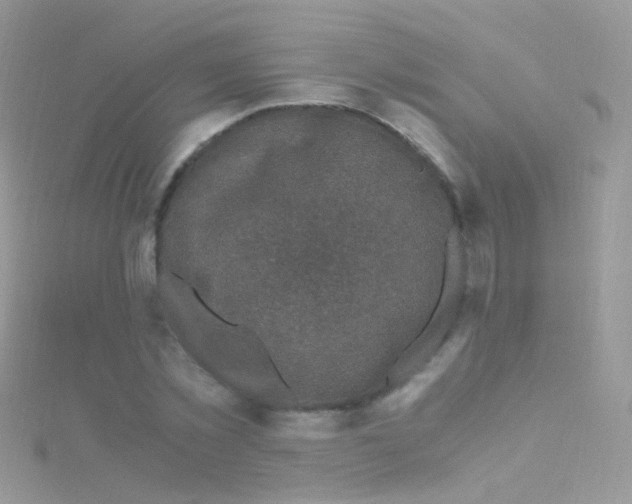 X0000115060781200911231214