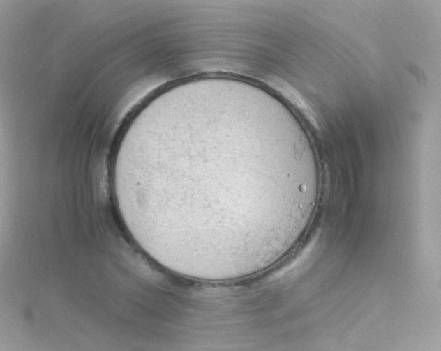 X0000115060782200911231214