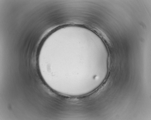 X0000115060784200911231214