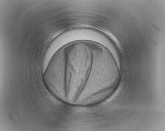 X0000115060785200911231214